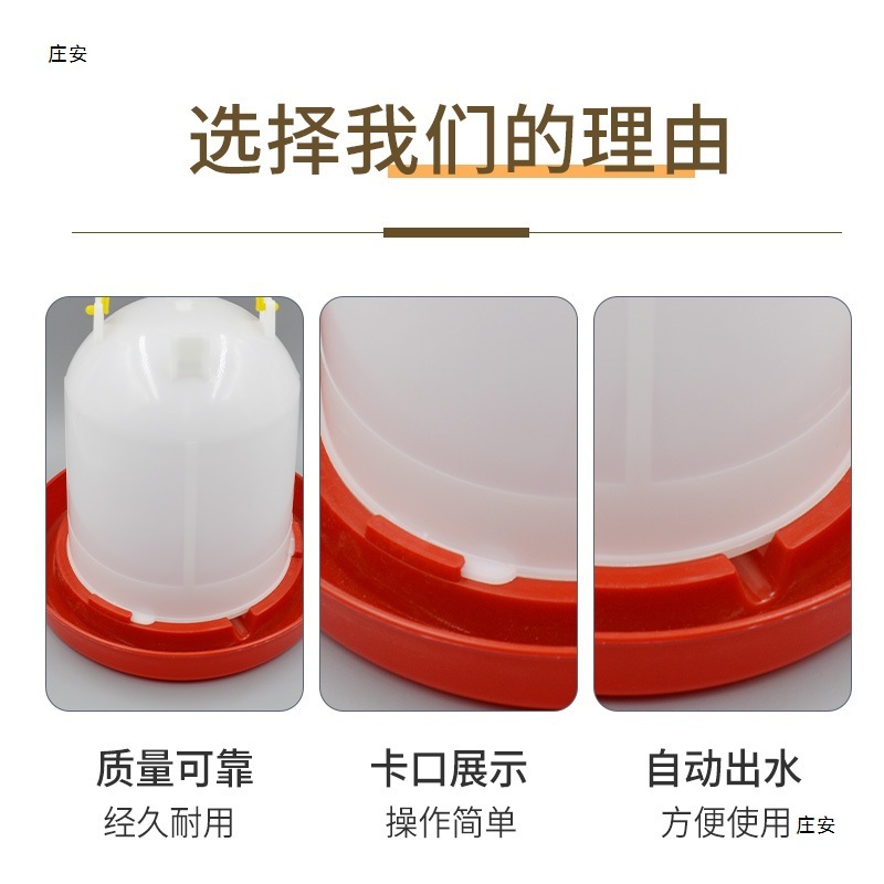 ひよこ水飲み場、ルチン鶏・ハト飼料自動給餌器、鶏給水器、鶏給餌器|undefined