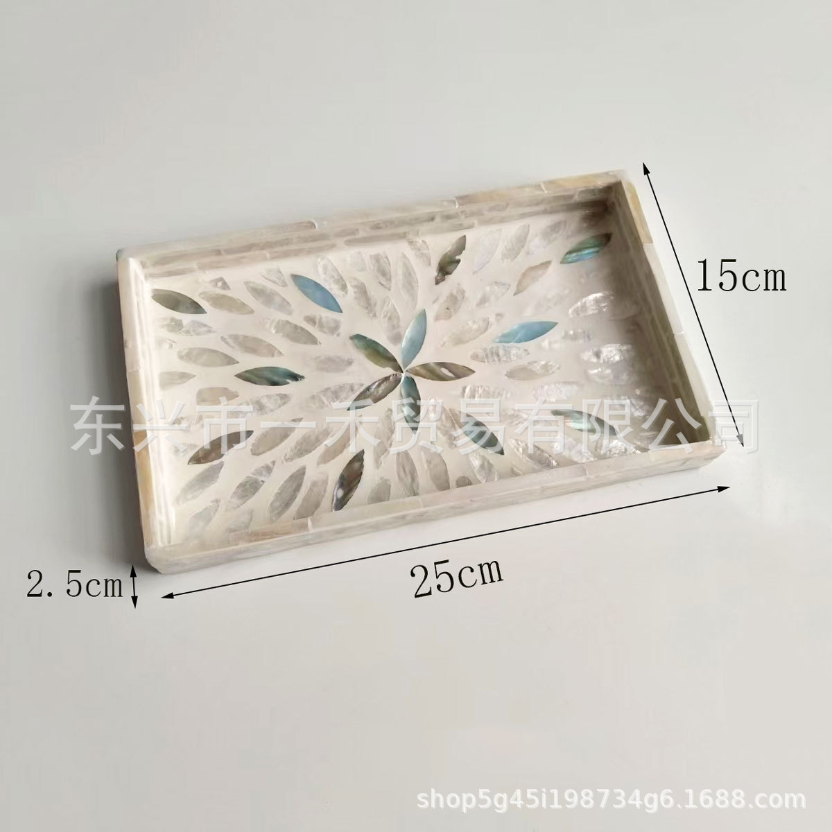 작은 전체 쉘 더블 레이어 블루 리프 트레이 25*15*2.5cm