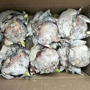 ���l������������ˮ�ɻ��N����^�����ͻ��ܿ͏d�������ˮ�B�ͺ�