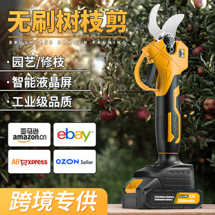 늄Ӽʽ@ֹ֦늼֦늼Ӽ֦