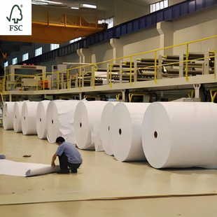 No Fluorescence, No Halogen, High Weight White Book Cardboard 120-400g 300g 230g Double Glue Export