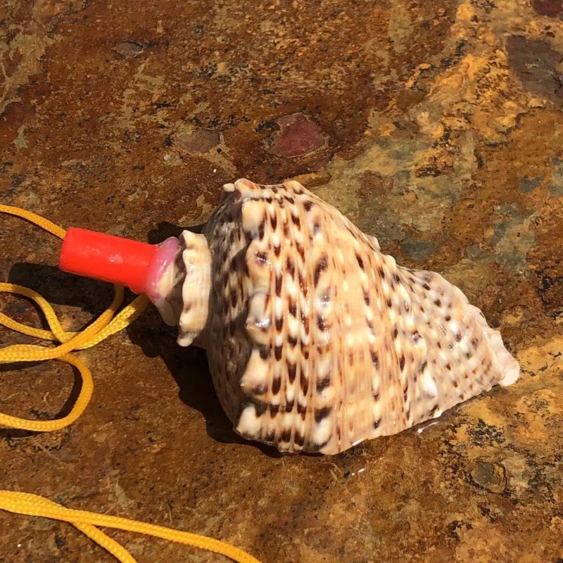 Torch incense snail whistle 6-8 cm