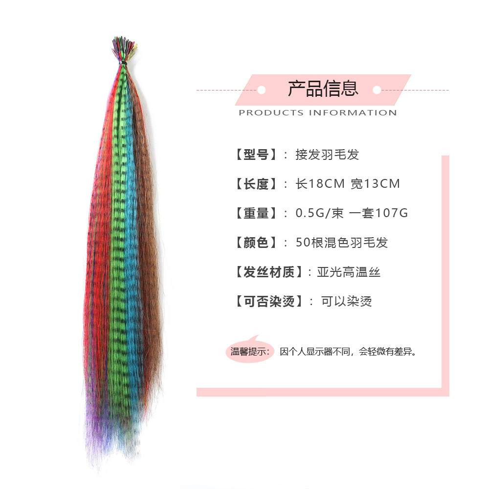 50 pelo de plumas + crochet alicates extensión del pelo anillo de plumas extensión del pelo peluca traje de fibra química palo de extensión del pelo peluca