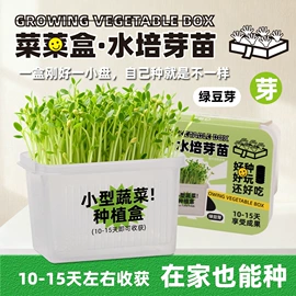 积木类;中性笔;橡皮擦