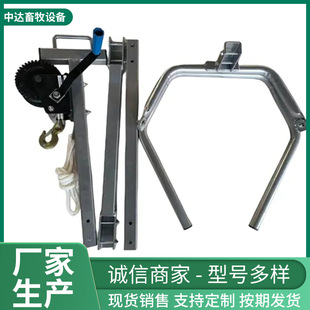 �Ӻ�ţ�����a����ţ�����a���߽�����ţ�y�a���a�o����е�F��