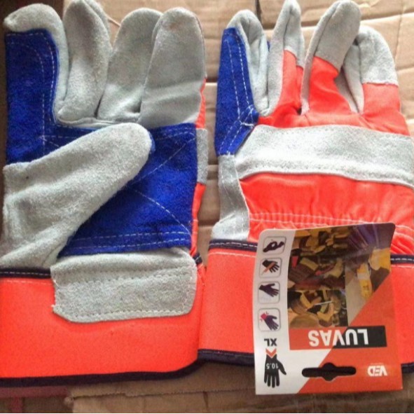 2024-11-08 13:49:21.jpg