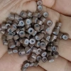 11# coffee 1000 capsules/bottle