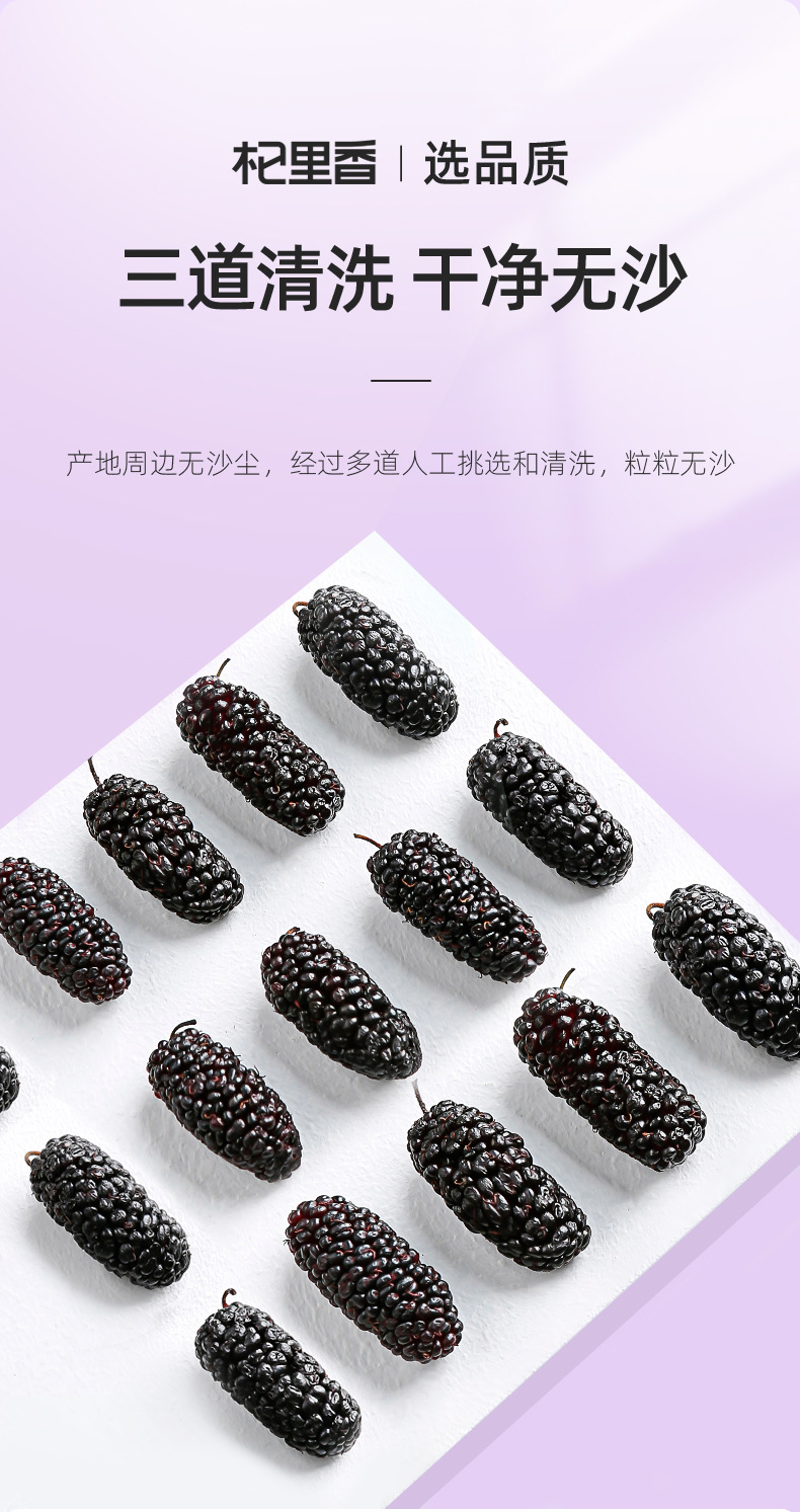 Dried Mulberry Fruit 60g Bag Sang Shen Dried Black Mulberry for Tea and Wine Soaking quality and texture