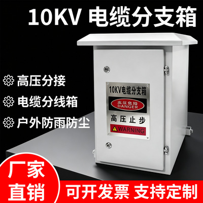 10kV Cable Branch Twelve thousand three hundred forty-five Power failure Operation outdoors Rain high pressure