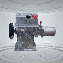 ����BS-60F30H���{��늄ӈ�����SDϵ�н��г�HART�����f�h