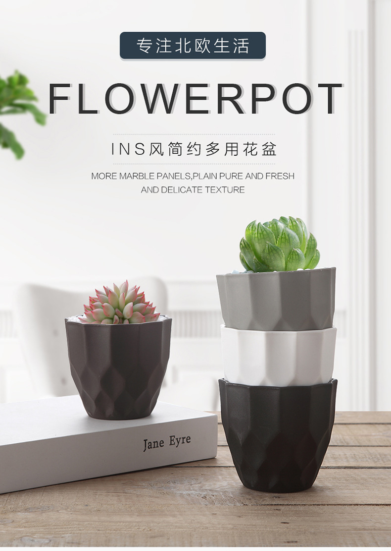 9232676956_118183890