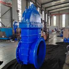 ����ܛ�ܷⷨ�m���L�U��ڏ�늄��l�yDN600�o��ˮ�y�TZ945X�����l