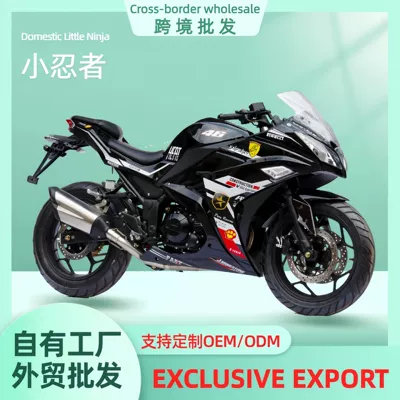 Little Ninja Motorcycle Export Single-Cylinder Air-Cooled 200Cc National Iv Efi Adult Two-Wheeled Fuel Vehicle Sports Bike Two-Wheeler (Motosikletlər)