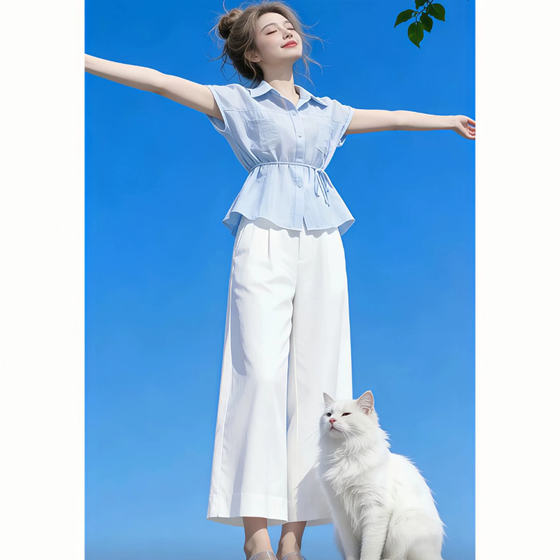 Unique and Beautiful Fairy-Like Small Set for Women 2026 Summer Elegant Waist-Cinching Short-Sleeve Shirt High-Waisted Wide-Leg Pants A12155 Unique and Beautiful Fairy-Like Small Set for Women 2026 Summer Elegant Waist-Cinching Short-Sleeve Shirt High-Waisted Wide-Leg Pants A12155