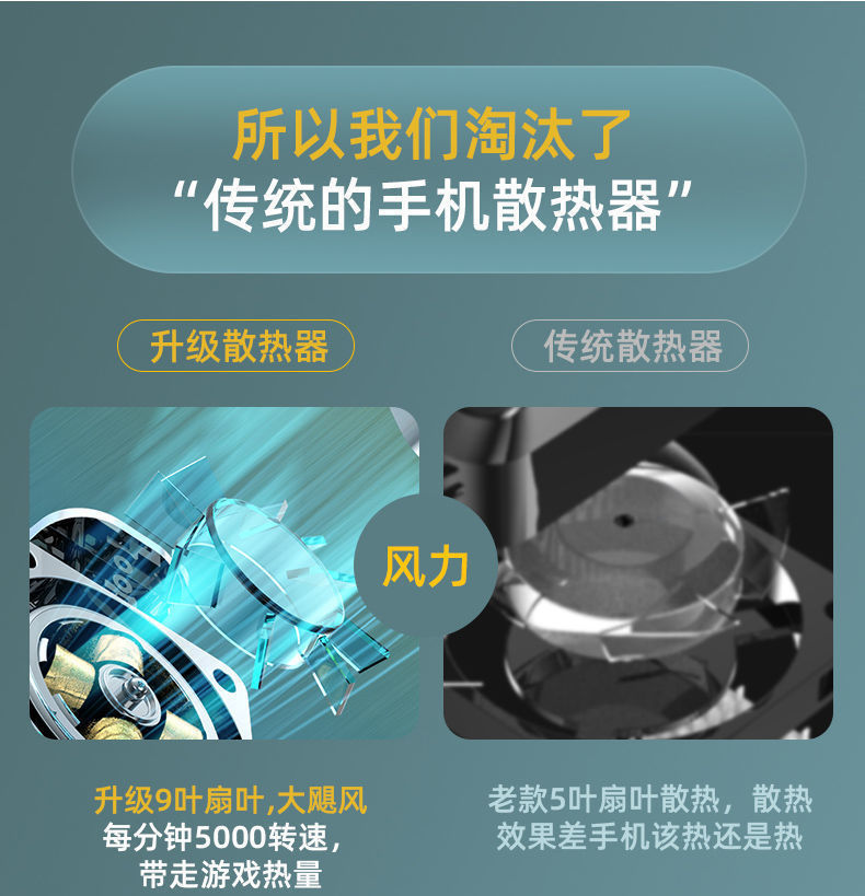 c81d424e-102e-490d-8970-b32a1ccac27f.jpe