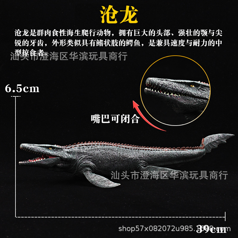 모사사우루스 A형 (250g)