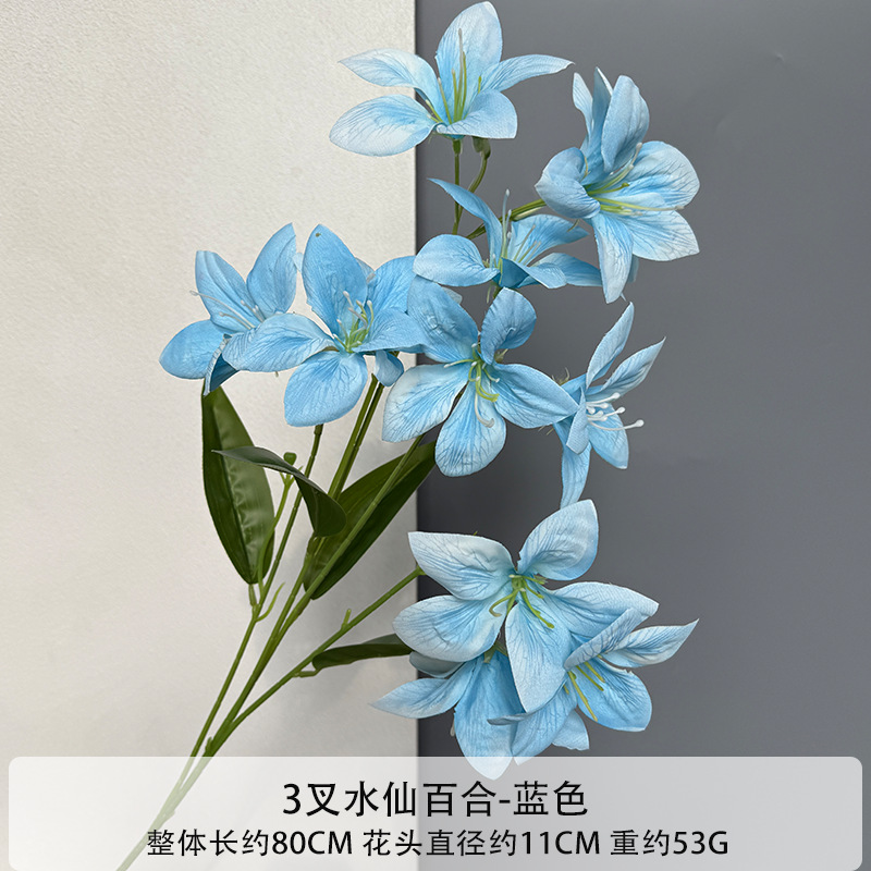 수선화 백합