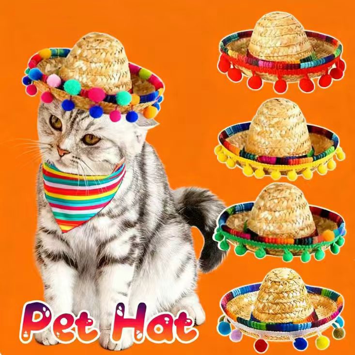 Pet Mexican Hat Carnival Halloween Birthday Party Adult Children Mexican Pet Mini Hat