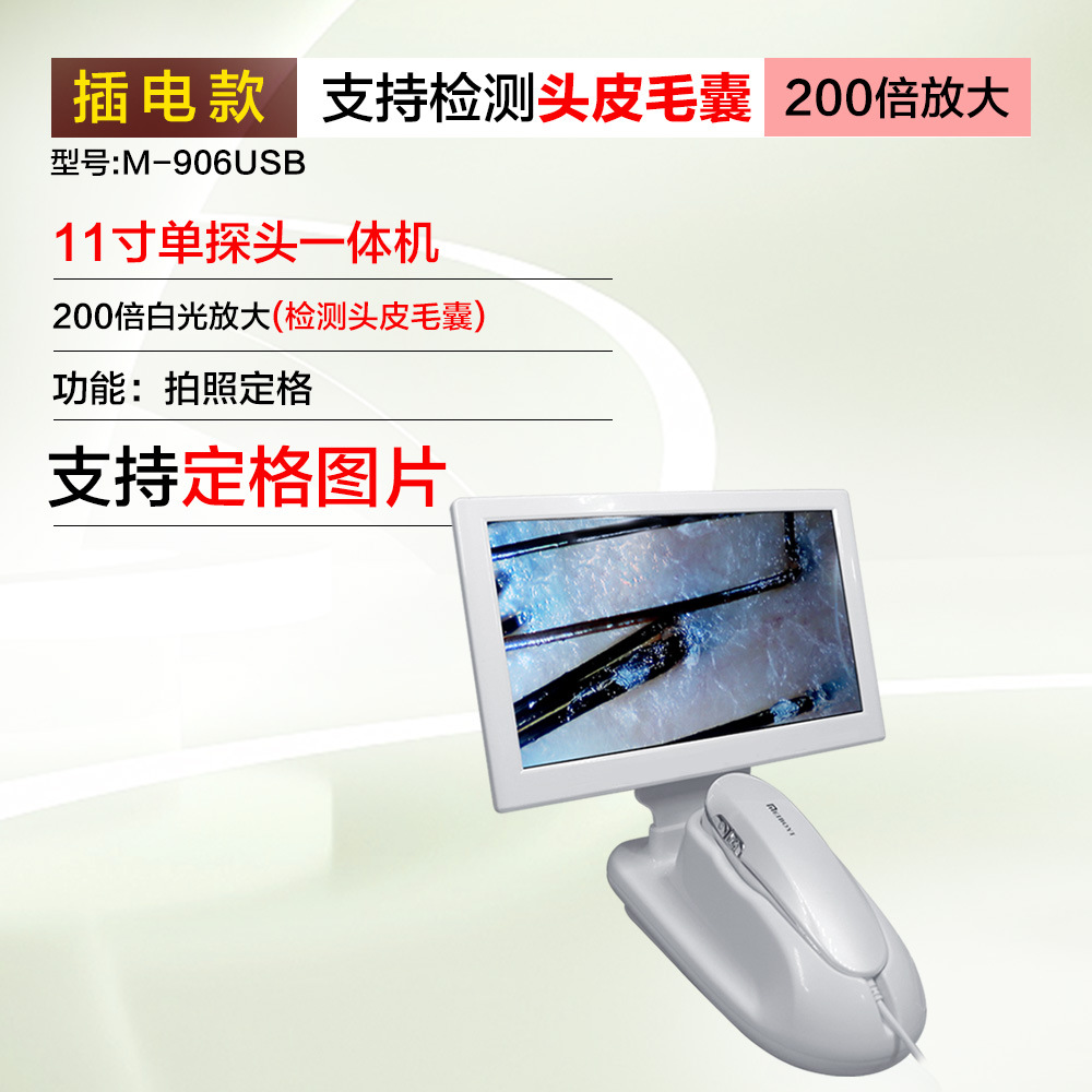 200 배 배율