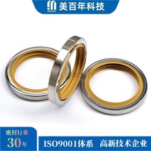 聚四氟乙烯304不锈钢油封PTFE汽车油封真空泵唇封高速油封密封圈