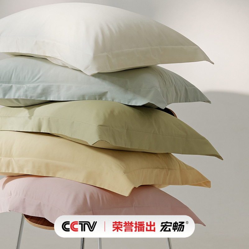 100本の純綿の毛磨き布団は秋冬に厚くて純色がシンプルです。