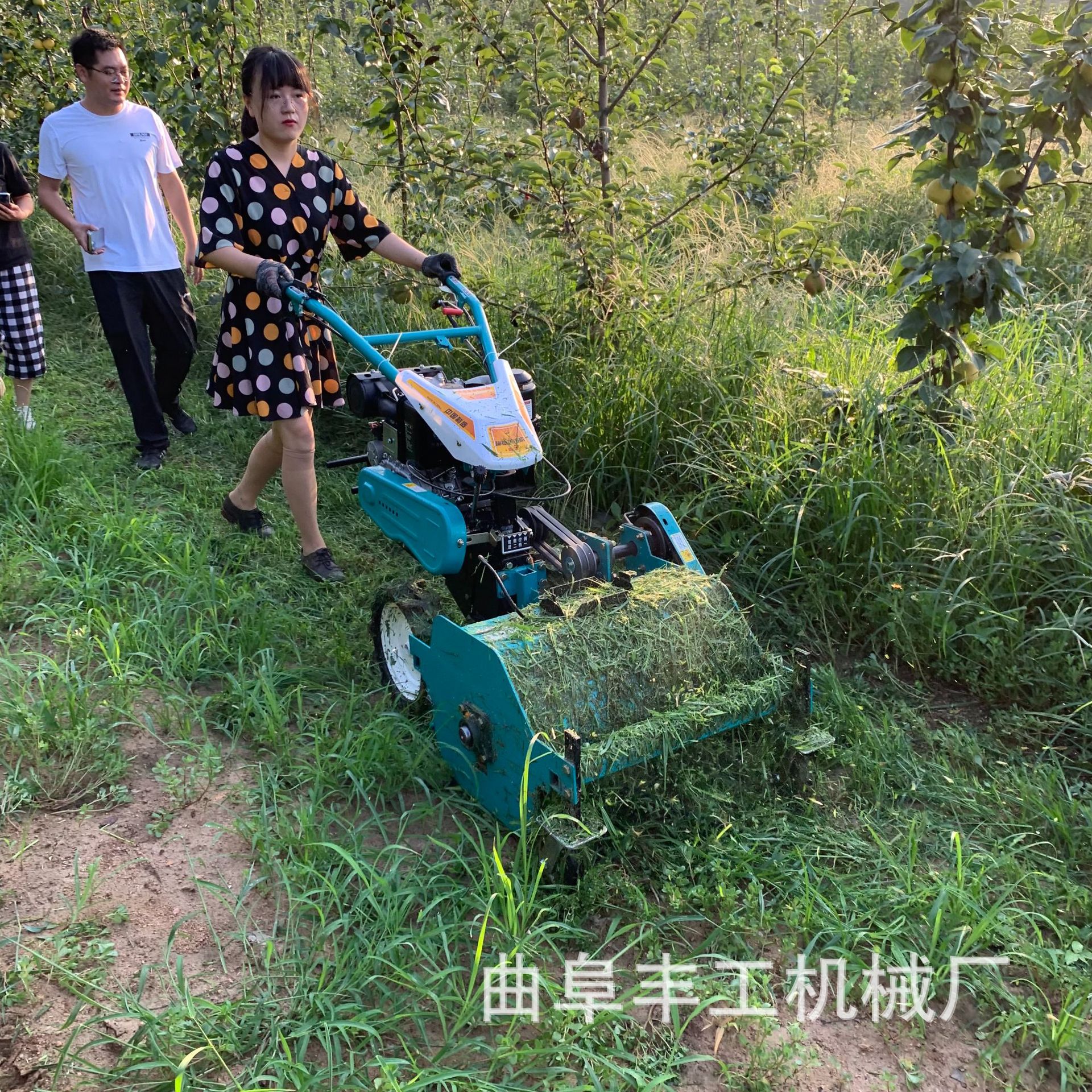 果园茶园小型碎草机山地丘陵杂草锄草机农用荒草高草灭草机