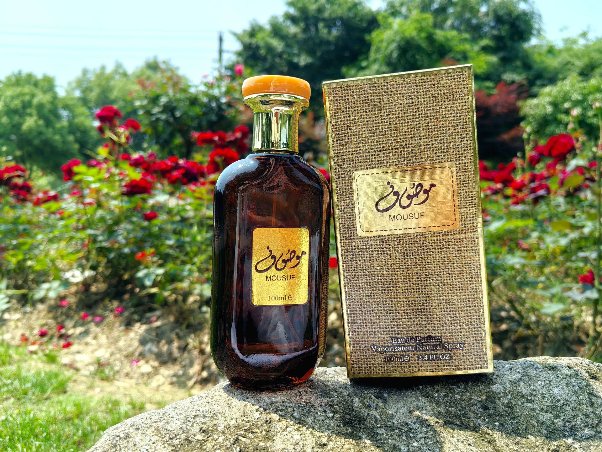 Eau De Toilette Perfume With Deep Woody Notes Middle Eastern Style_voghion.com