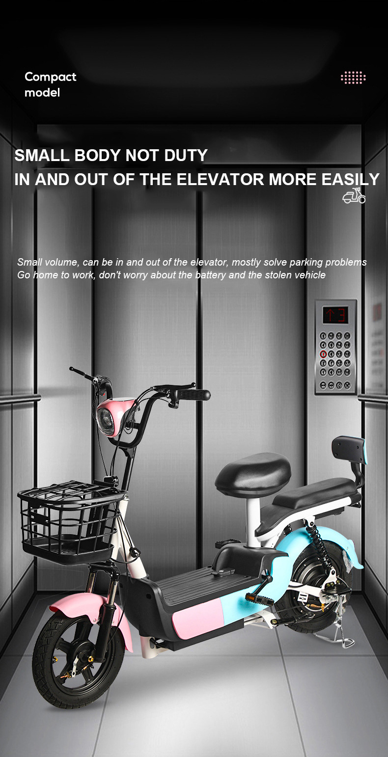 Custom Electric Bicycle, New National Standard, 48V 60V