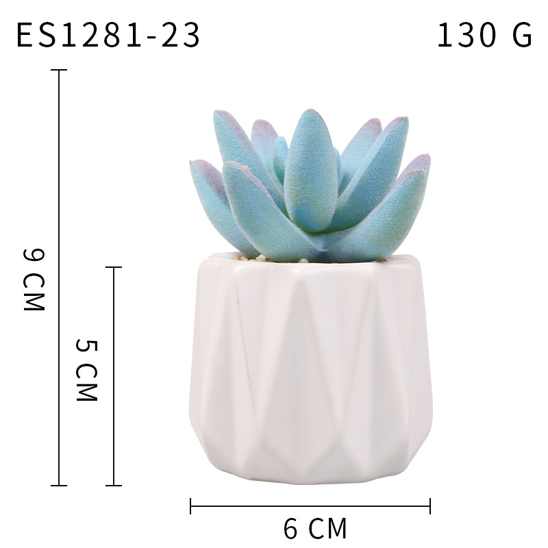 Pequeña ola al por mayor taza tipo simulación planta suculenta nórdico Muebles de Oficina Decoración fresca nuevo producto