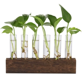 装饰花瓶;水培植物瓶;玻璃工艺品