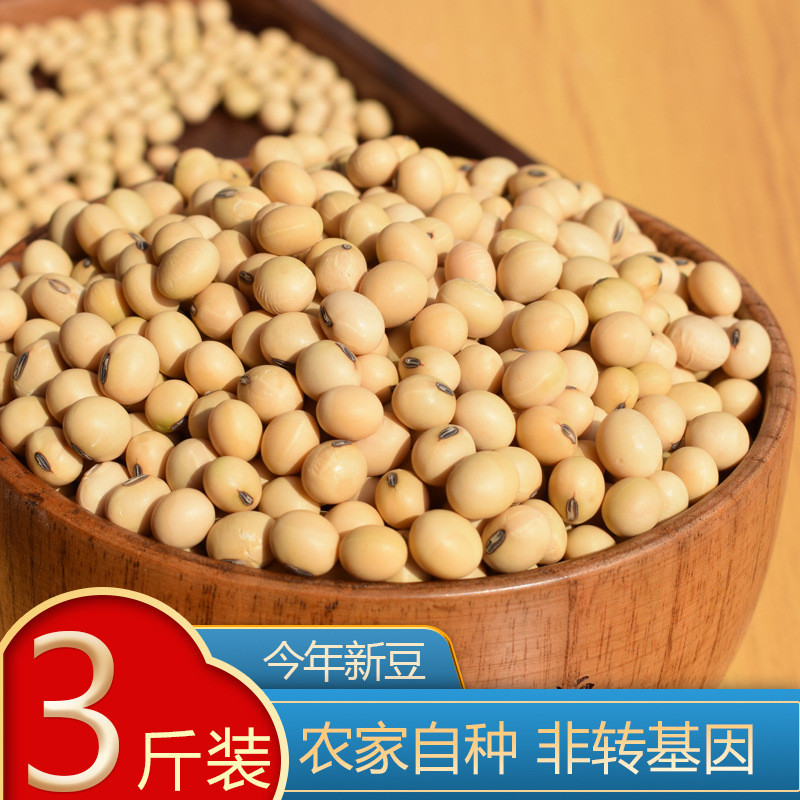 유기농 대두 1.5kg팩(핫세일)