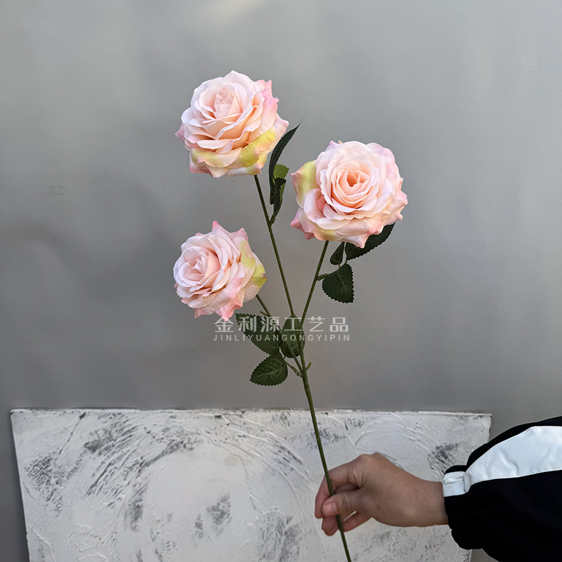 Real object without green leaves 3-head lover rose champagne powder