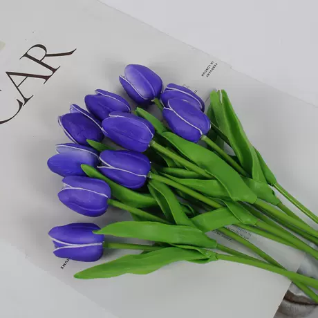 Purple Blue