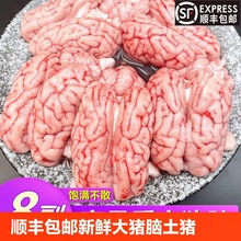顺丰包邮高品质新鲜土猪脑8副鲜冻大猪脑产猪脑火锅冷冻包邮跨境