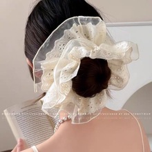 2025���W�������c�lȦ���W���^�KŮ�����Rβ�l��n����|�^��