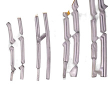 Ь���^��ڰ��^����͸���A�^�l���o�ܟ��տs�̶ܹ���ڽ�ָ��s��