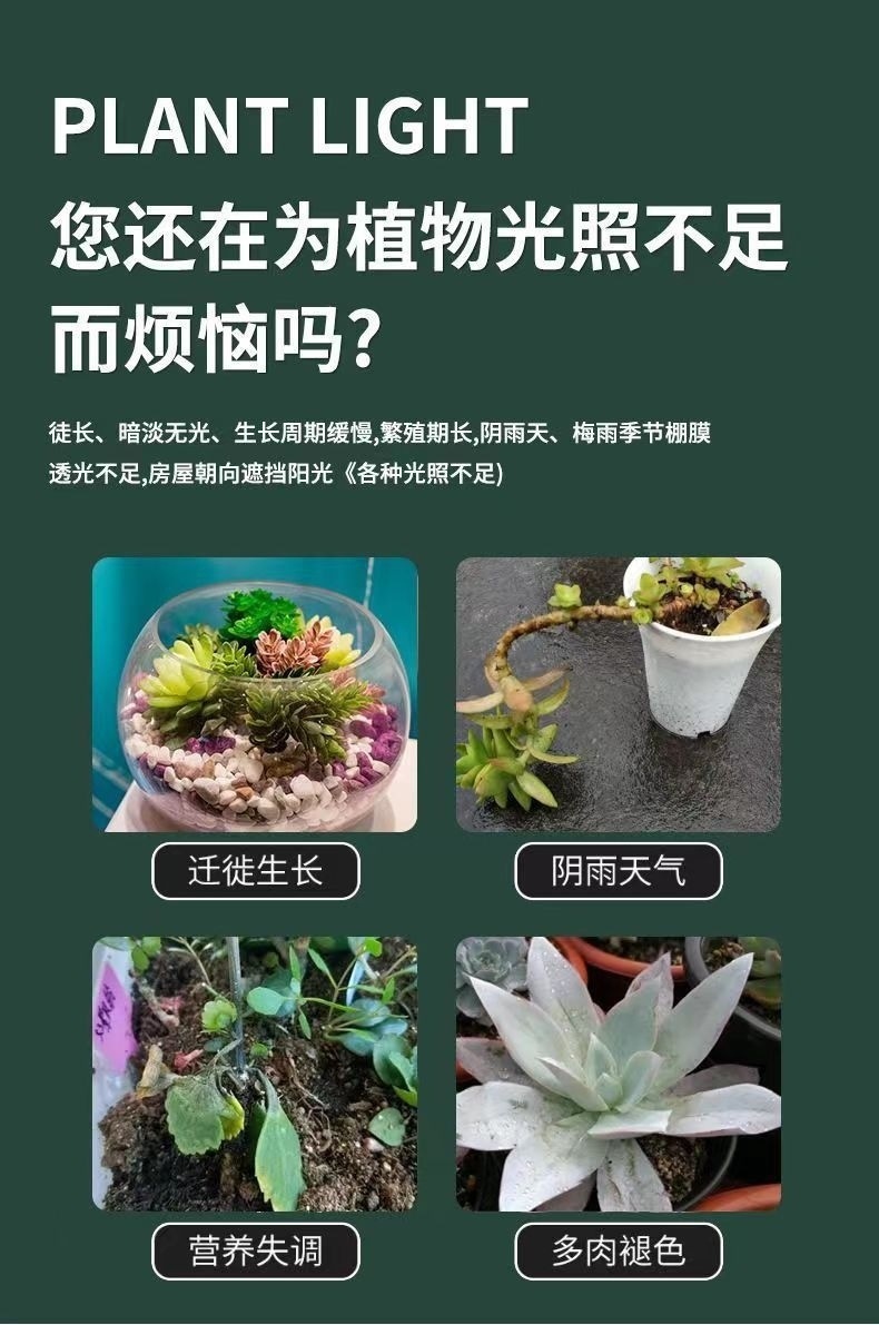 8e65aebf-f69b-4898-841e-c8274783c6b5.jpe