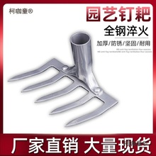 �r��ᔰҶ๦��䓰����F����С���ӓ��������N�ˈ@�ֹ�������̫��