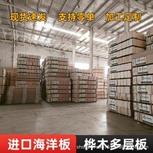 ���_˹�������a���������l�и��z�ϰ庣���Ę�ľ���Ӱ�