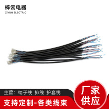 SҶ3оo׾ӾӹBӾӸӹD