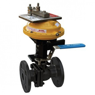 ԭ�b�M��BI-TORQ���yDA63+DN20���m���yˮ�y