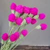 Rose red 18 pieces