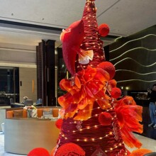 ��������tɫë�����̈��Ƶꙻ���߶˲����������b�Ʒ�ɻ��