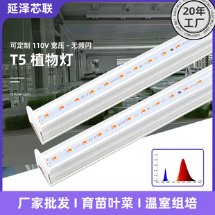 T5ȫ���Vֲ���a���LED����ֲ����M���~�˷Nֲ�G���L���߹�Ч