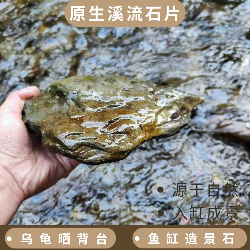 Производители оптового потока сланцы аквариумных аквариумов