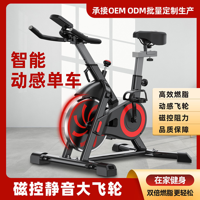 Cross-Border Factory Supply Cross-Border Indoor Household Spinning Bike Commercial Gym Equipment Magnetically Controlled Exercise Bike