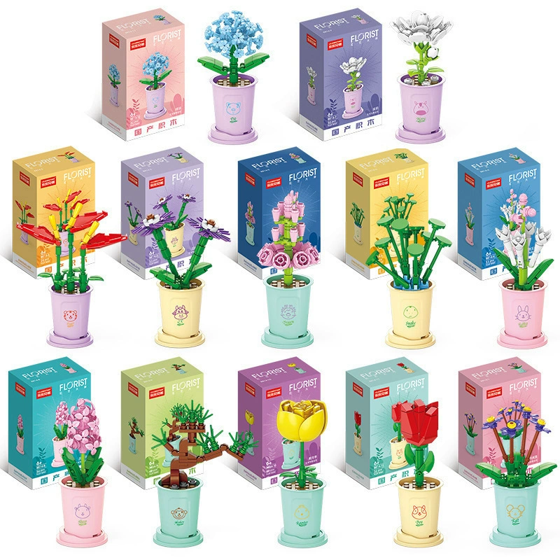 Brother, constructor, toy, bouquet, Birthday gift