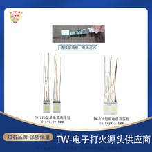 江苏批发单双电弧高压包 充电点火器点火枪卡式炉配件小型变压器