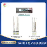 江苏批发单双电弧高压包 充电点火器点火枪卡式炉配件小型变压器