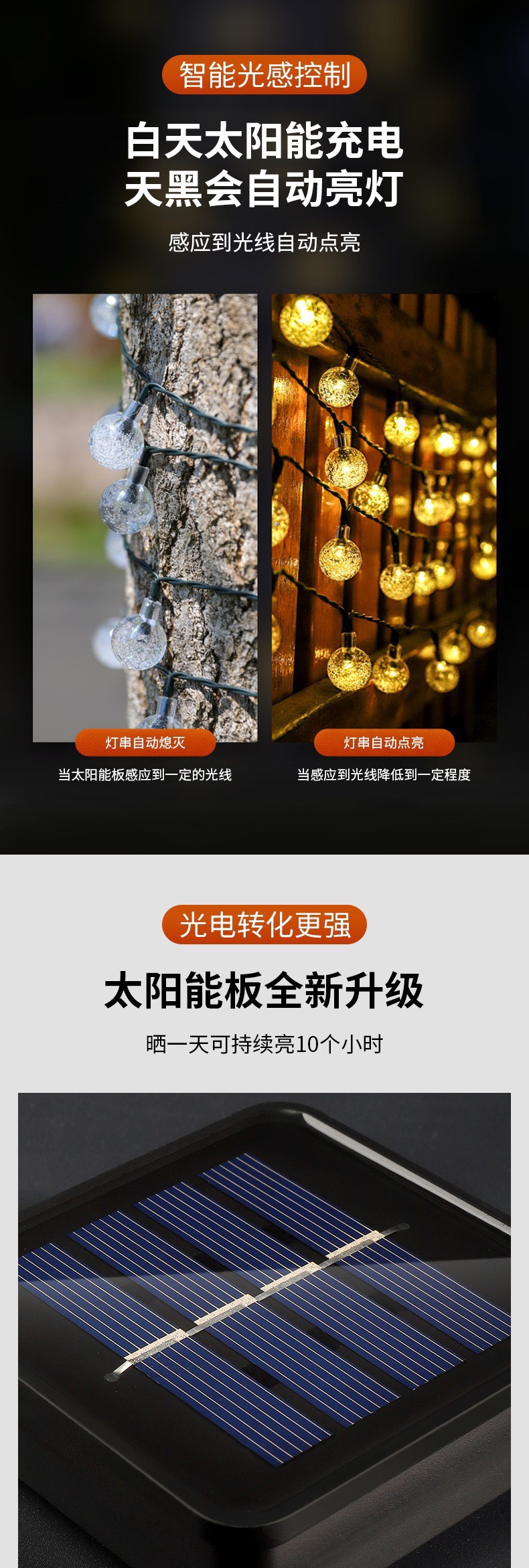 IMG_4849(20221103-094121)